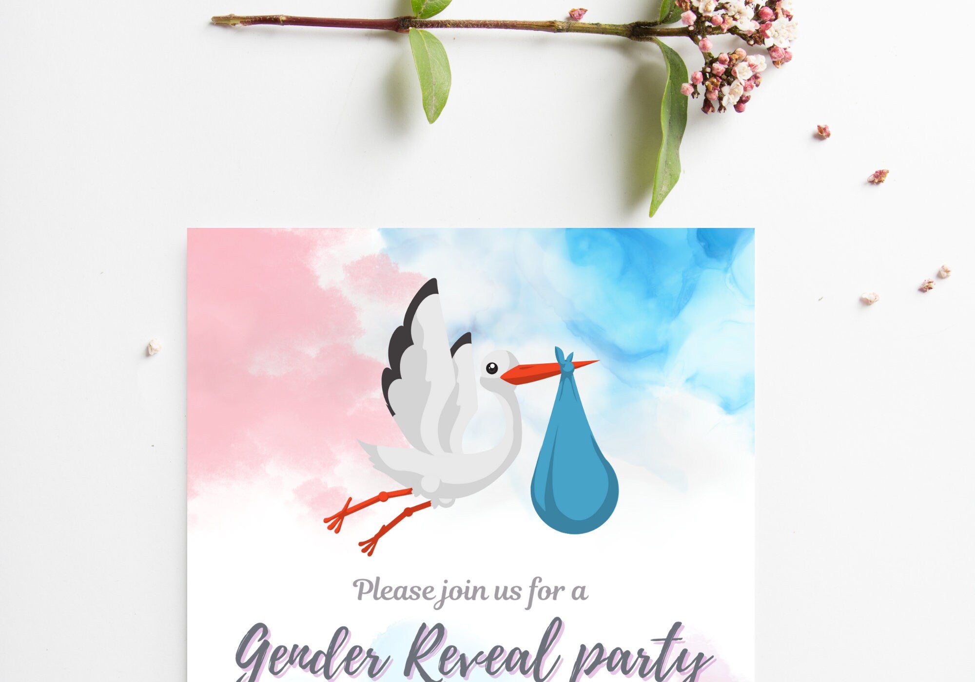 GENDER REVEAL Party Invitation - Baby Shower Party Invite, Blue and Pink, Baby Sex Reveal Party | Flying Stork/Crane